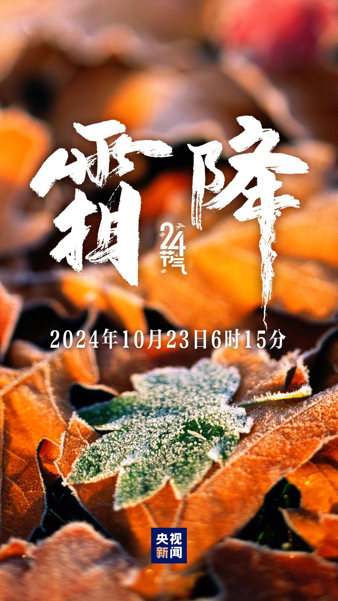 秋季最后一個(gè)節(jié)氣，來了