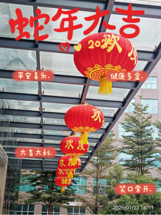 靈蛇舞動迎新春，喜氣洋洋滿乾坤